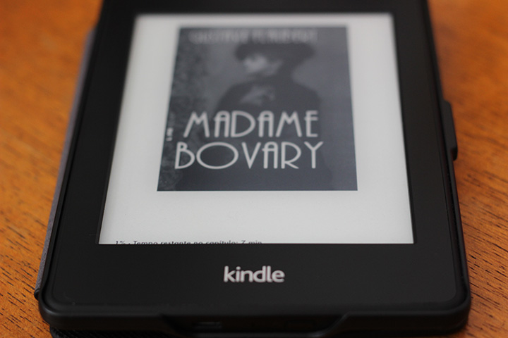 Madame Bovary - Gustave Flaubert