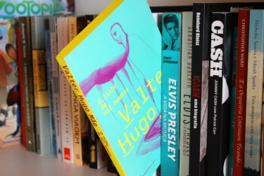 Resenha: O Filho de Mil Homens - Valter Hugo Mãe