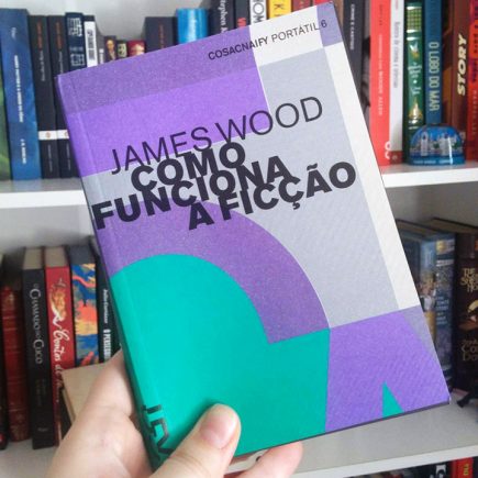 Resenha: Como Funciona a Ficção – James Wood