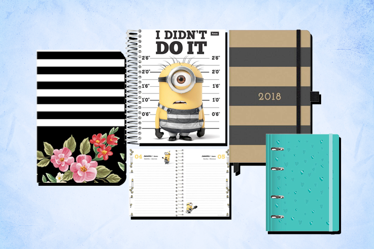 Organize suas leituras em 2018 com um planner!