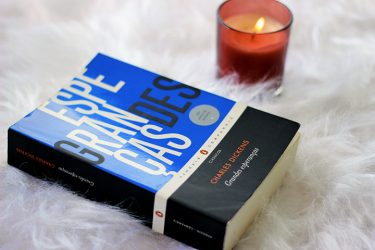 Livros da Era Vitoriana que você precisa conhecer - grandes esperanças