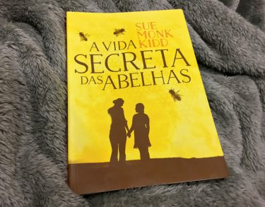 Resenha: A Vida Secreta das Abelhas - Sue Monk Kidd