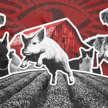 20 distopias clássicas e modernas para conhecer